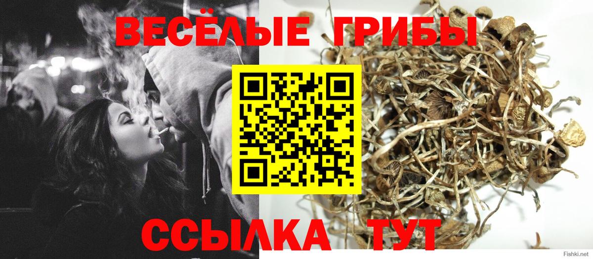 Псилоцибиновые грибы Magic Shrooms Краснодар