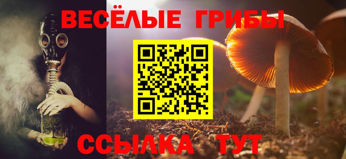 Краснодар  Галлюциногенные грибы мухоморы  Вход с VPN 